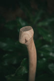 palm swell of the whiskey river art and trading co 28c premium heritage replacement axe handle
